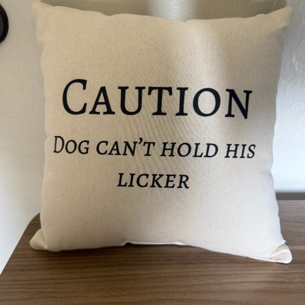 Decorative Throw Pillow for Pet Lovers NWOT